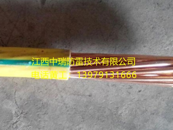 PVC 銅包鋼絞線