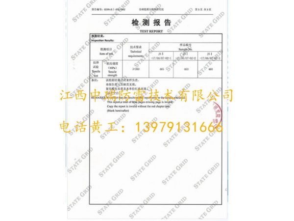 檢測(cè)報(bào)告 4