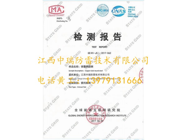 檢測(cè)報(bào)告 1